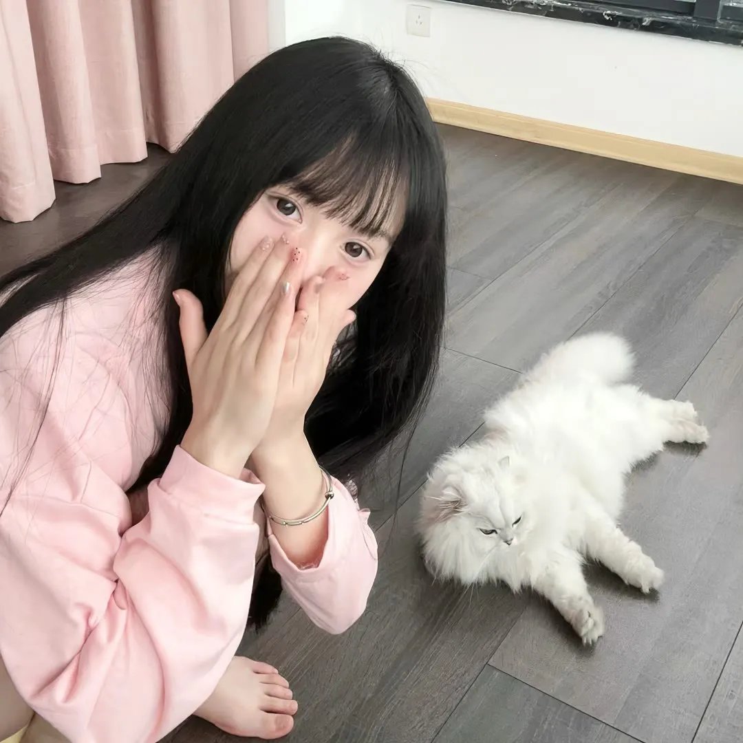 樱花恋